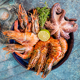 Shrimp Food Prawns