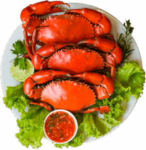 Fresh Crab Plate