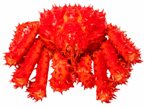 Red Alaskan King